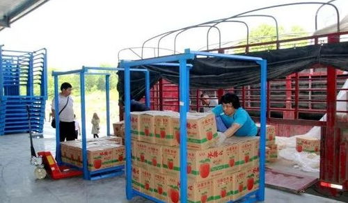 永州嘉信冷鏈倉儲物流中心正式開業，助推區域物流體系升級